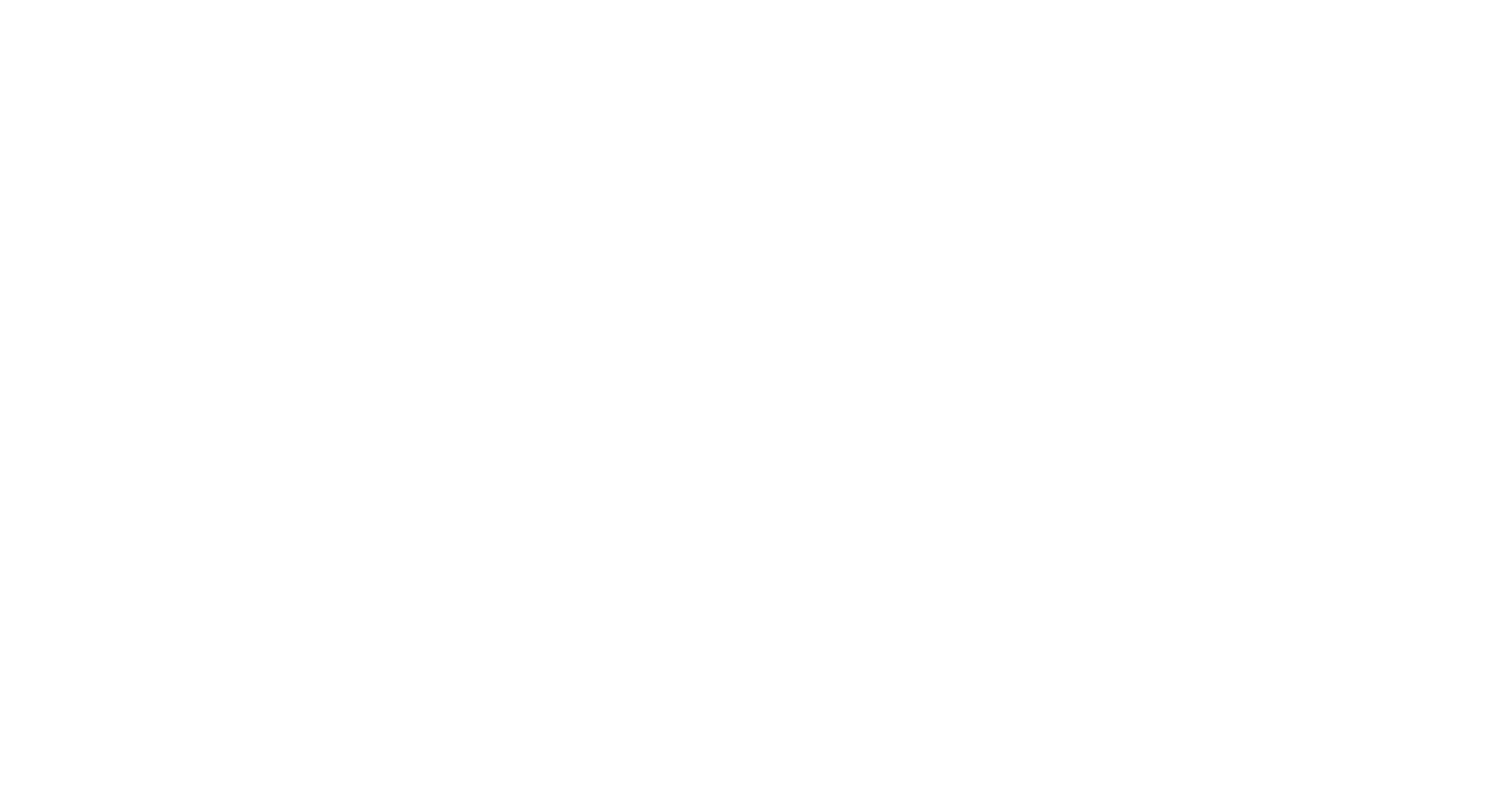 Page_Logo_White_RGB_hi